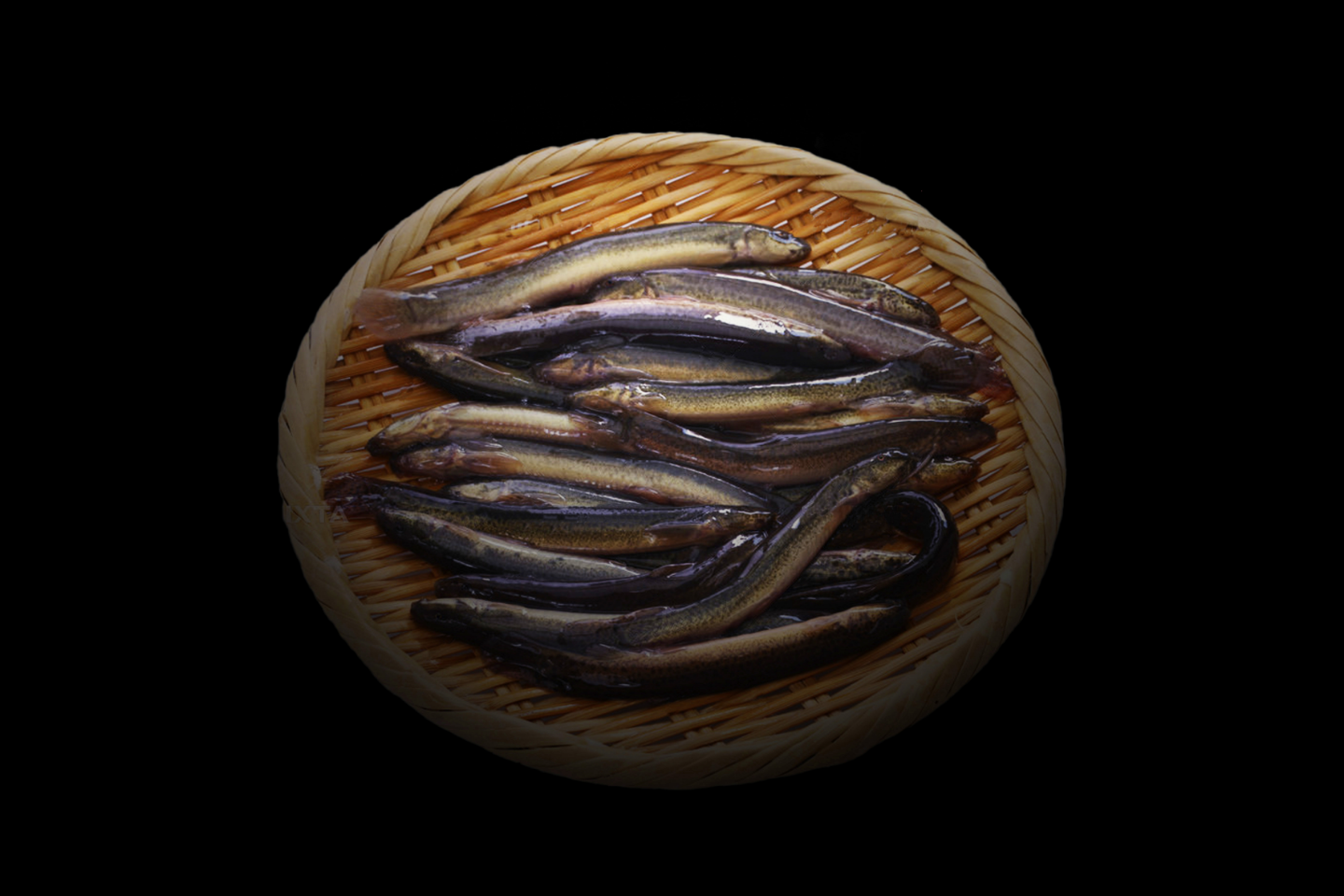 金沢百万石どじょう